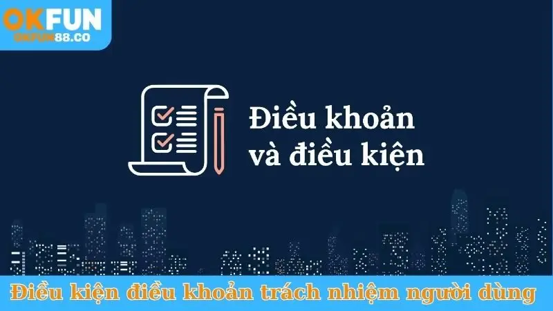 Điều kiện điều khoản về trách nhiệm người dùng